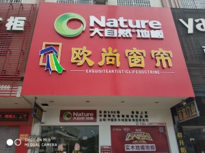 公司介绍
